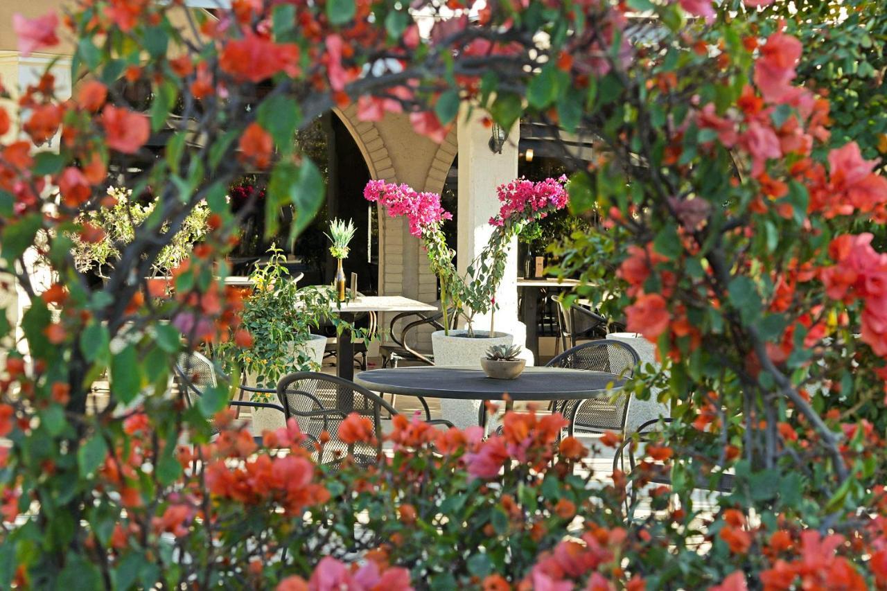 Hotel Del Rio Navojoa Exterior photo